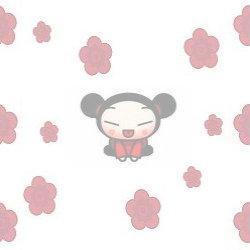 texture_pucca_003.jpg