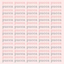 texture_pucca_004.jpg