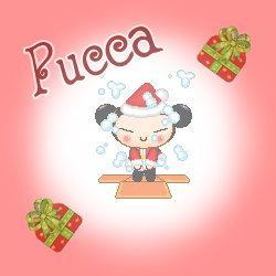 texture_pucca_012.jpg
