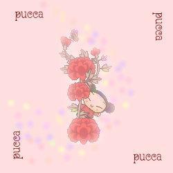 texture_pucca_013.jpg