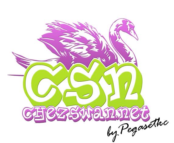 Logo CsN - Le 14/07/10