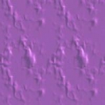 texture_Violets_02.jpg