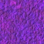 texture_Violets_06.jpg