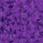 texture_Violets_07.jpg