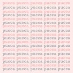texture_pucca_004.jpg