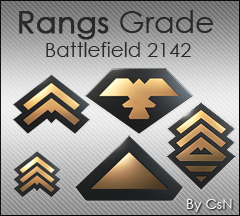 Rang Battlefield 2142