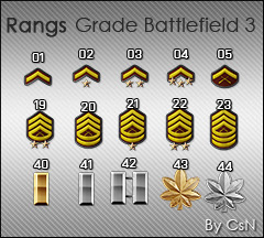 Rang Battlefield 3