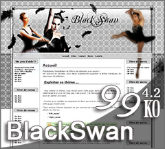 Thème BlackSwan