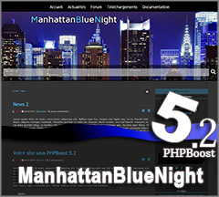 Thème ManhattanBlueNight